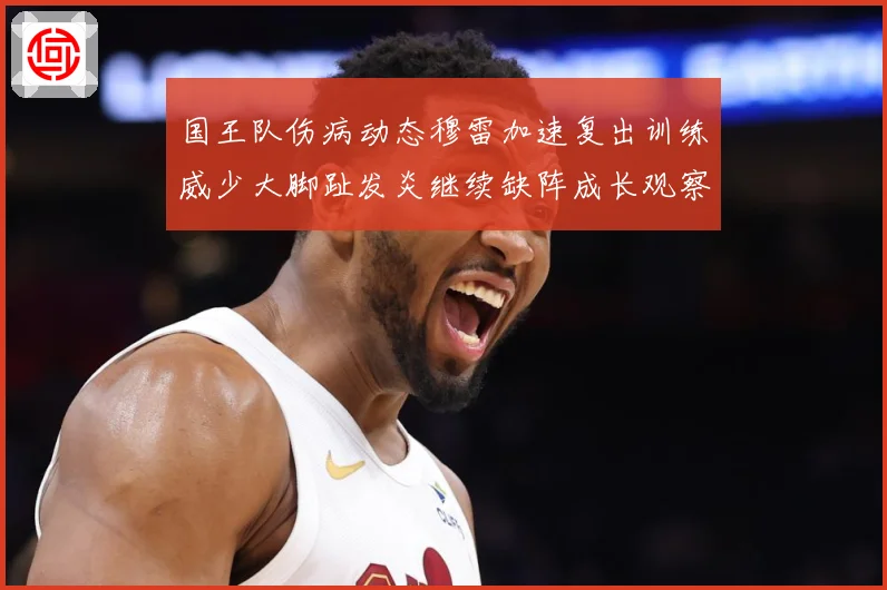 国王队伤病动态穆雷加速复出训练威少大脚趾发炎继续缺阵成长观察：最新赛事动态与深度分析