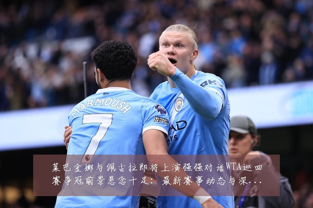 莱巴金娜与佩古拉即将上演强强对话WTA巡回赛争冠前景悬念十足:最新赛事动态与深度分析